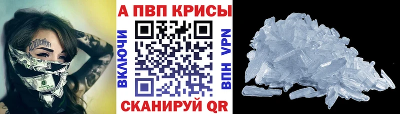 Альфа ПВП СК КРИС Коряжма