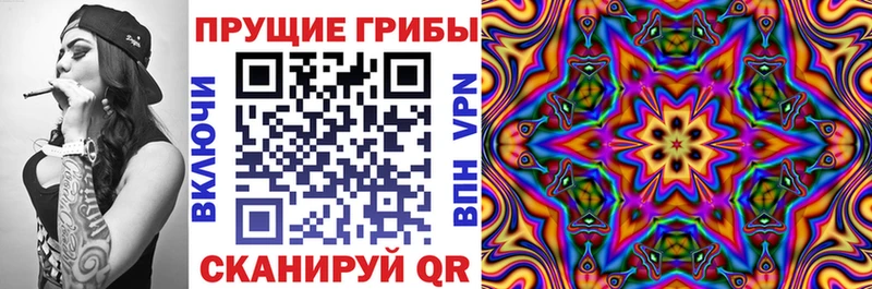 Купить где  Коряжма  Псилоцибиновые грибы Psilocybine cubensis 